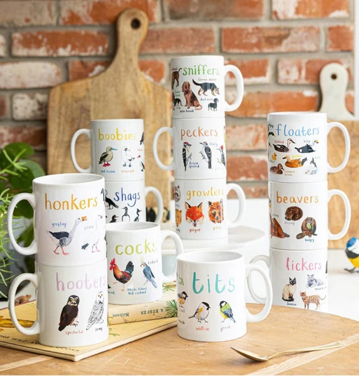 BIRD PUN FOWL LANGUAGE MUG