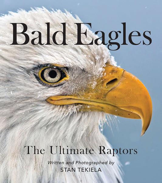 BALD EAGLES - THE ULTIMATE RAPTORS