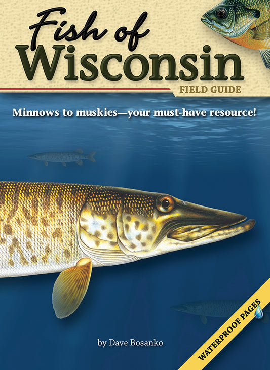 FISH OF WISCONSIN FIELD GUIDE
