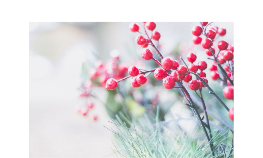 Gift Guide for HIM