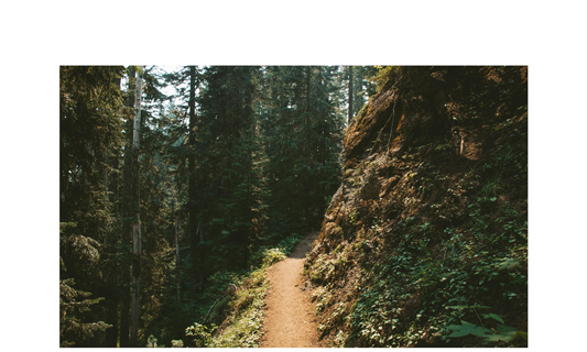 Fontana Sports Guide to Finding your Perfect Hiking Boots