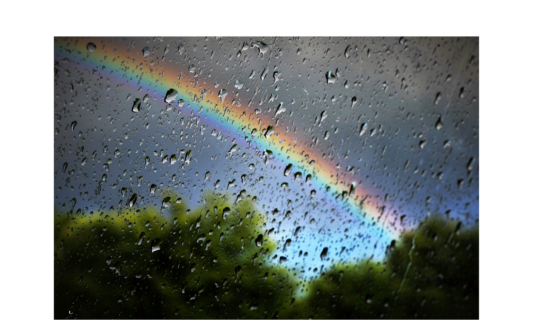 Rainy Day Camping: How to Stay Dry & Comfortable this Spring