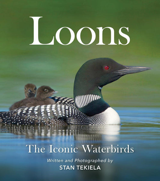 LOONS - THE ICONIC WATERBIRDS