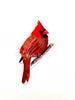 CARDINAL STICKER