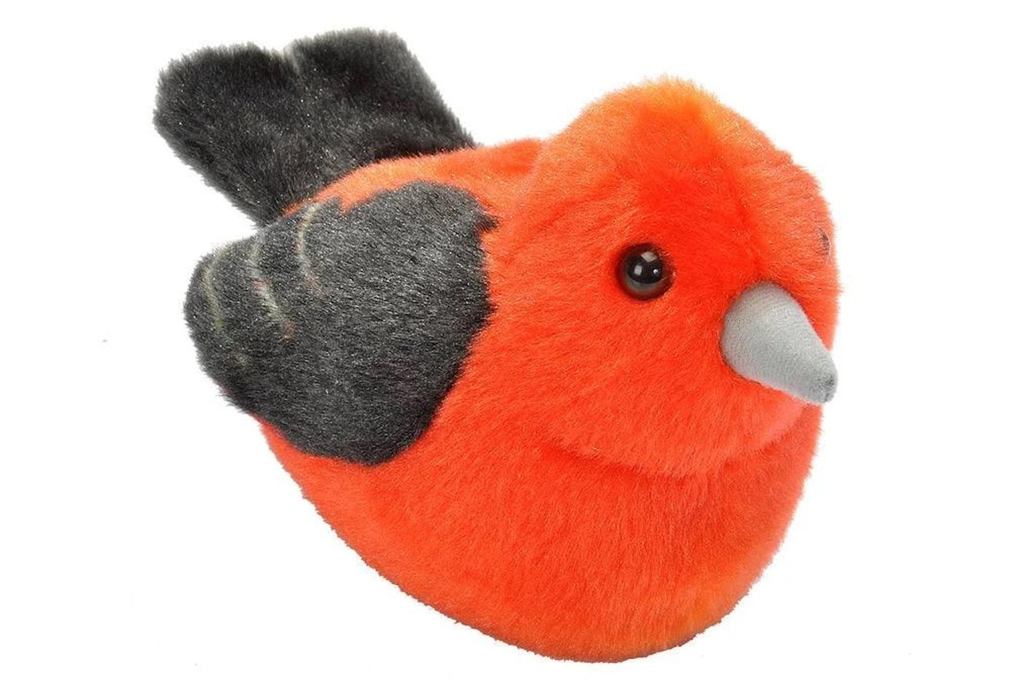 AUDUBON II PIPING PLOVER CHICK