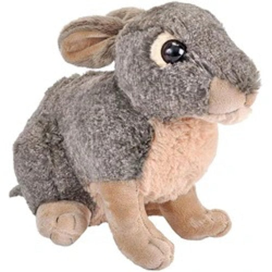 RABBIT 12'