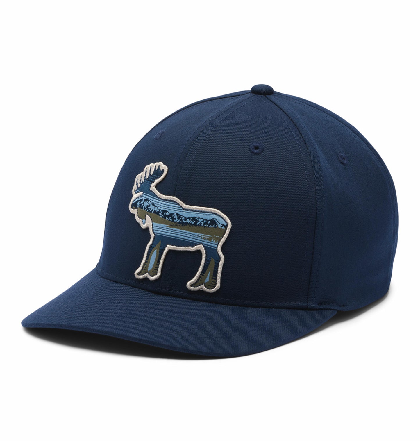 LOST LAGER 110 SNAP BACK HAT