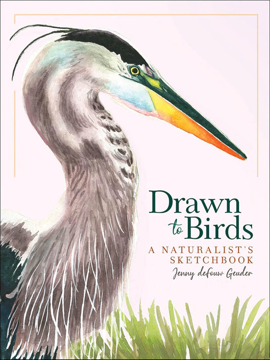 DRAWN TO BIRDS