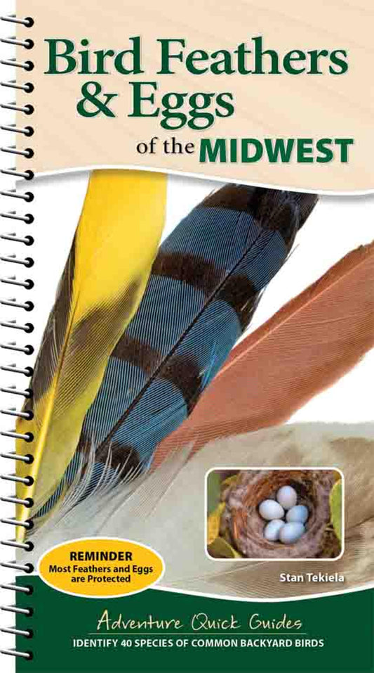 BIRD FEATHERS & EGGS MIDWEST QUICK GUIDE