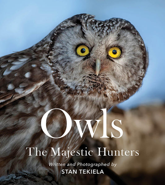OWLS: THE MAJECTIC HUNTERS