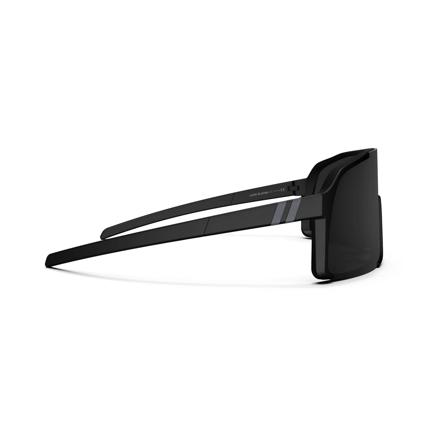 EXPOSÉ SUNGLASSES