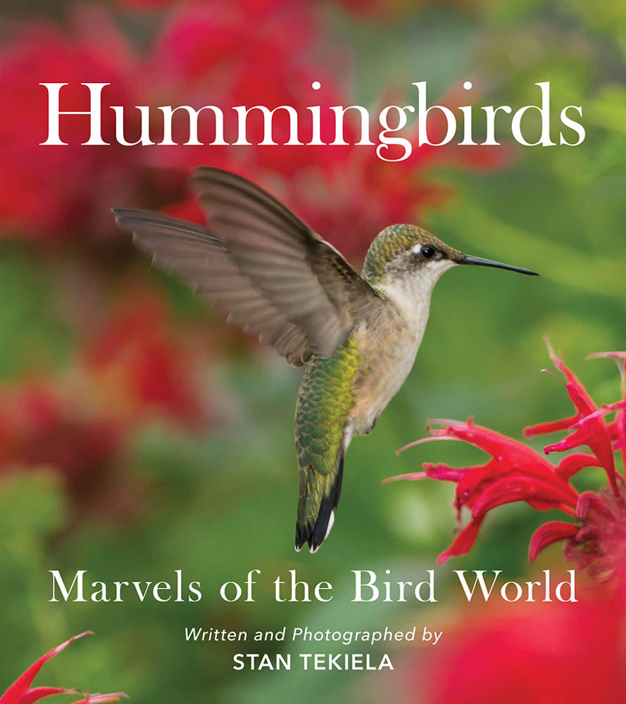 HUMMINGBIRDS - MARVELS OF THE BIRD WORLD