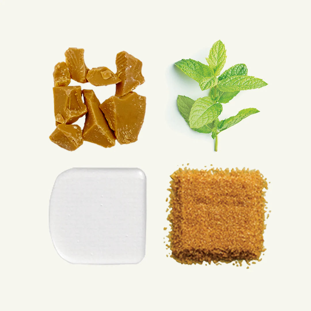 SPEARMINT CHEWING GUM-NATURAL/PLASTIC FREE